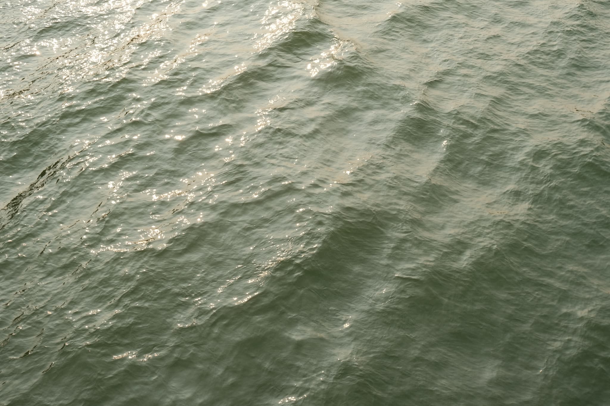 seine_water